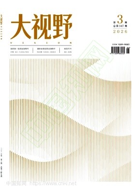 大视野