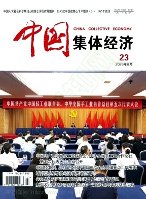 中国集体经济