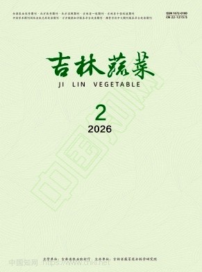 吉林蔬菜