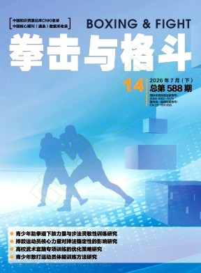 拳击与格斗