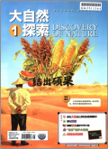 大自然探索
