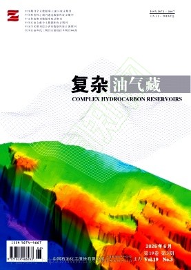 复杂油气藏