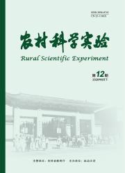 农村科学实验