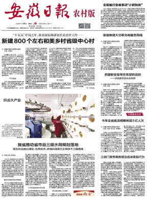 安徽日报·农村版