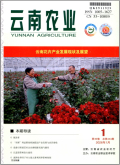 云南农业
