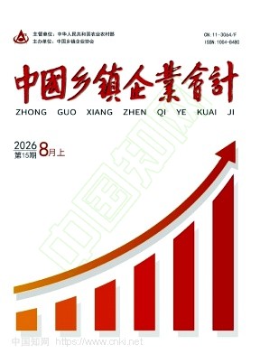 中国乡镇企业会计