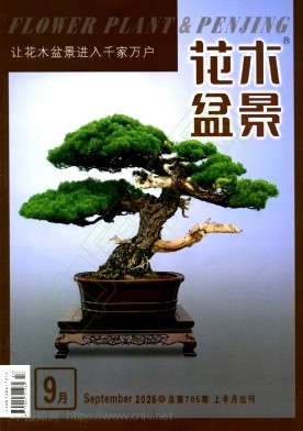 花木盆景