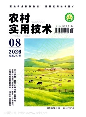 农村实用技术