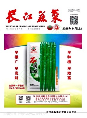 长江蔬菜