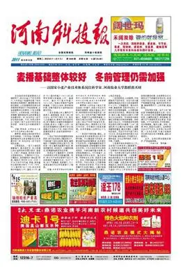 河南科技报