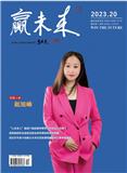 赢未来